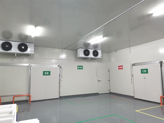 建造100平方醫(yī)院冷庫(藥品冷庫)需要多少錢