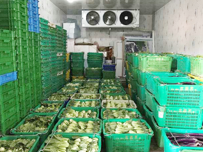 冷庫貯藏和冷凍食物應(yīng)該避免的幾件事