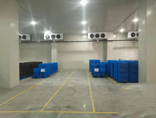 金華建一個水果冷庫需要多少錢？